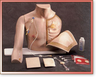Chester Chest - Simulador de Acceso Vascular