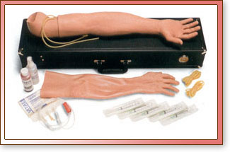 Estuche de Brazo de Adulto para Entrenamiento Intravenoso