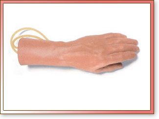 Mano de Entrenamiento IntraVenoso de Lujo