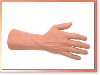 Mano de Entrenamiento IntraVenoso Estándar