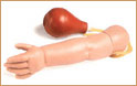 Brazo Infantil de Entrenamiento Arterial