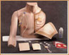 Chester Chest - Simulador de Acceso Vascular