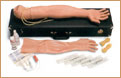Estuche de Brazo de Adulto para Entrenamiento Intravenoso