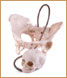 Pelvis femenina con Cráneo Fetal